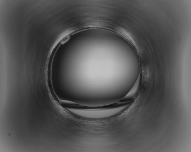 X0000088461138200705221337