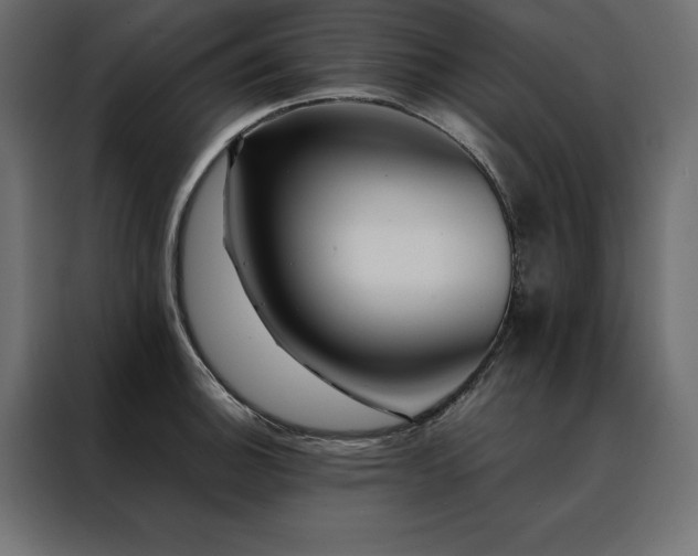 X0000088461140200705221337
