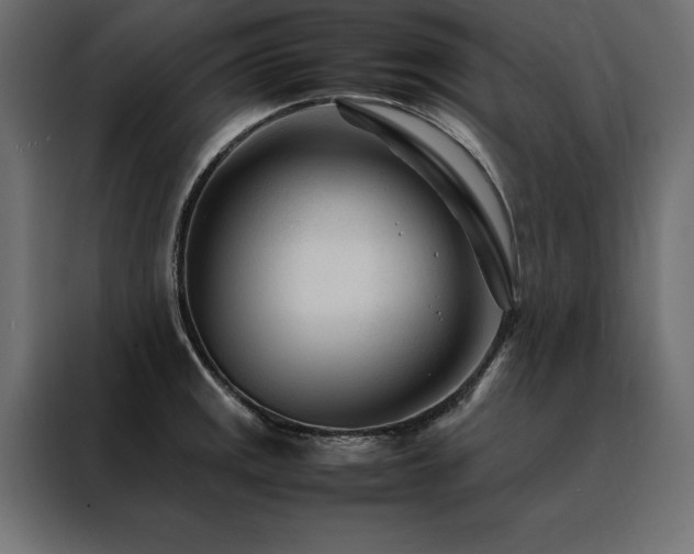 X0000088461141200705221337