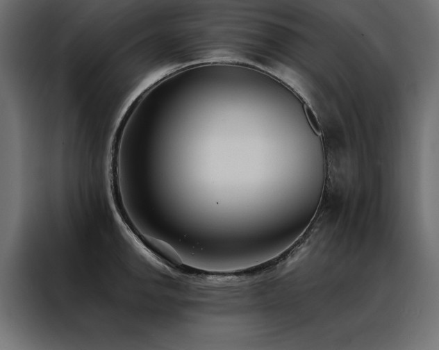 X0000088461142200705221337