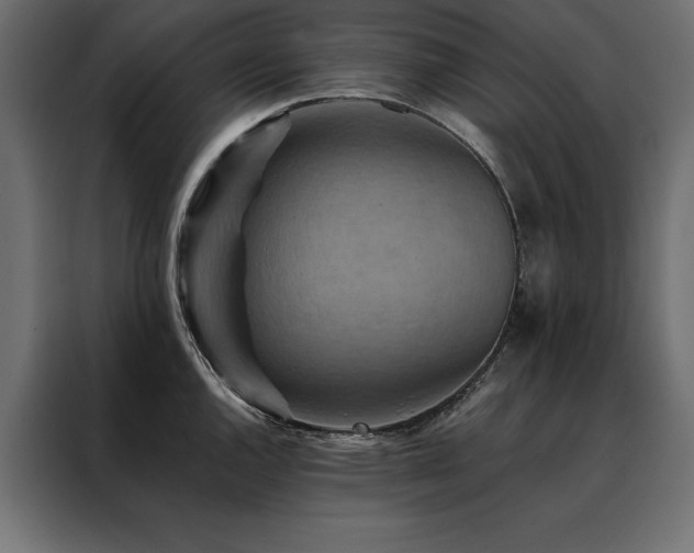 X0000088461144200705221337