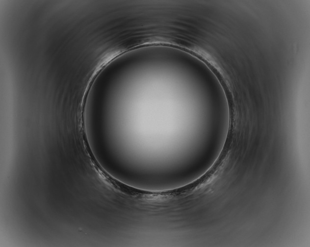 X0000088461145200705221337