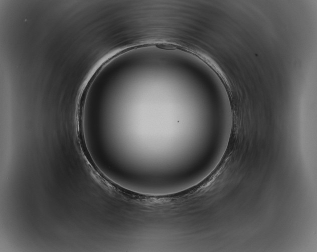 X0000088461148200705221337