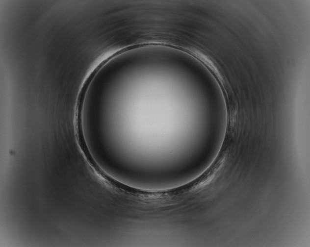 X0000088461149200705221337
