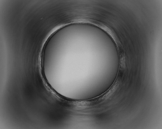 X0000088461150200705221337
