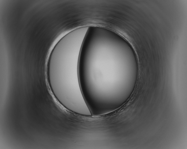 X0000088461152200705221337