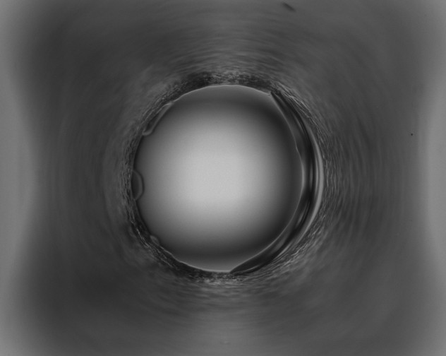X0000088461153200705221337