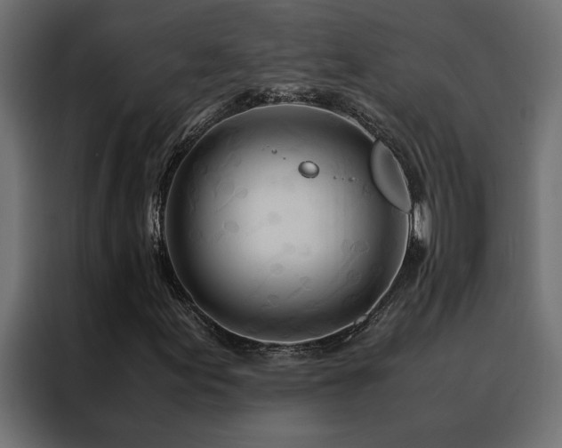 X0000088461155200705221337