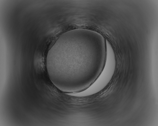 X0000088461156200705221337