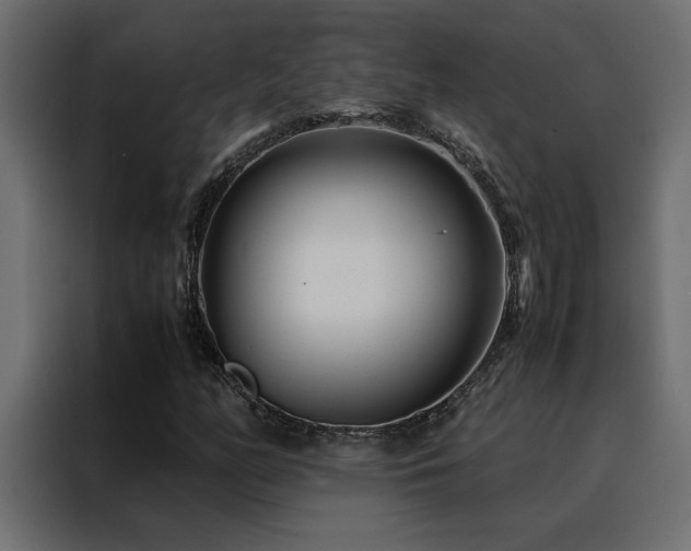 X0000088461158200705221337