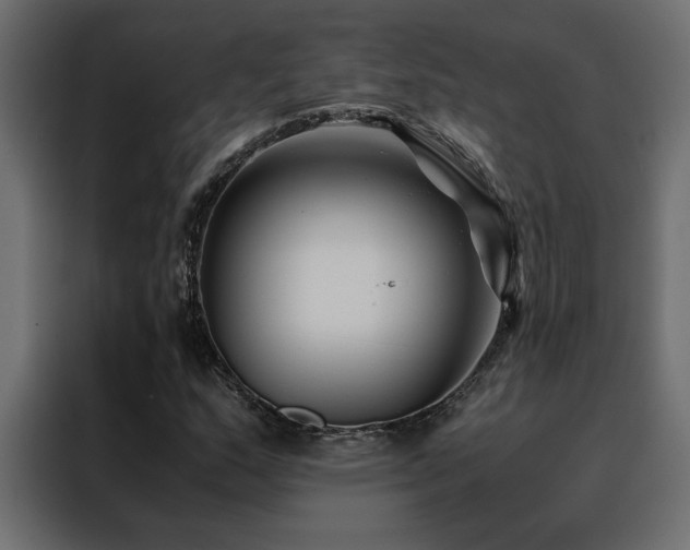 X0000088461159200705221337