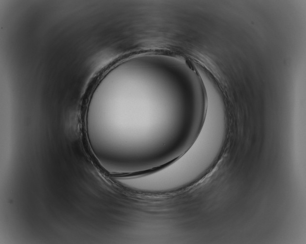 X0000088461164200705221337
