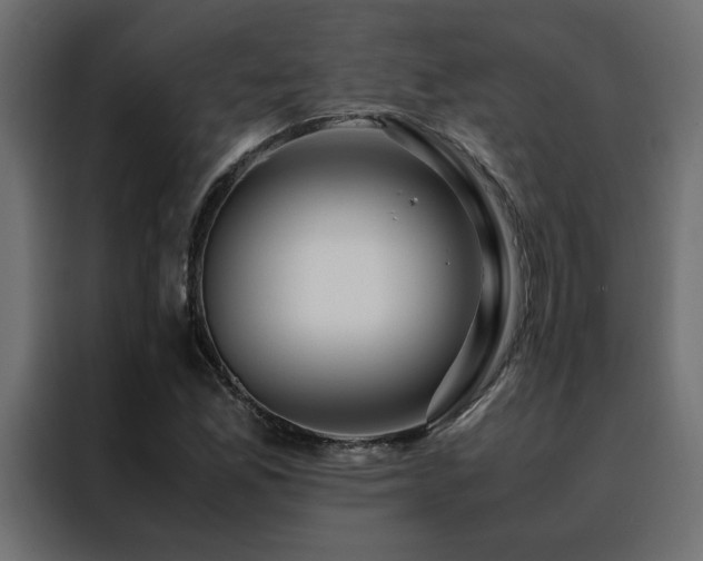X0000088461165200705221337