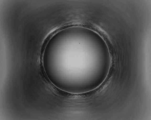 X0000088461166200705221337