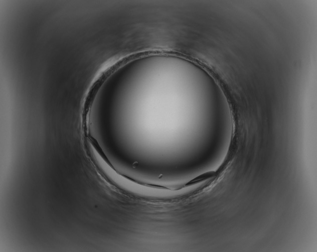 X0000088461168200705221336