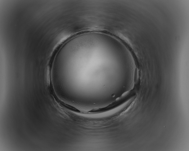 X0000088461171200705221336