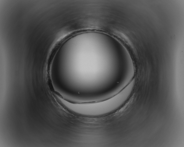 X0000088461172200705221336
