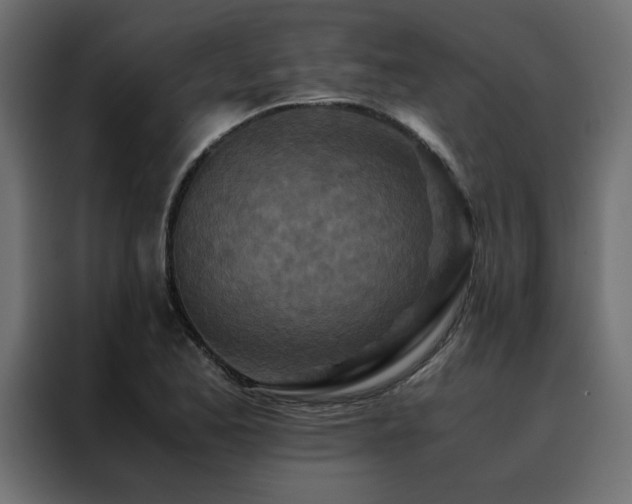 X0000088461173200705221336