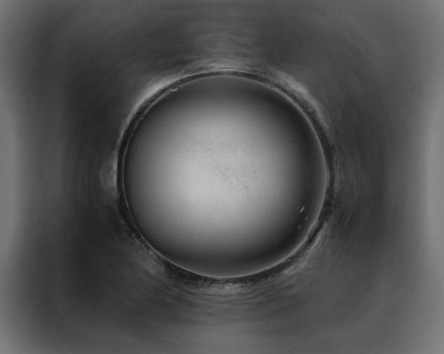 X0000088461174200705221336