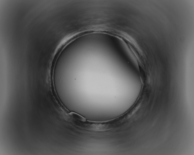 X0000088461176200705221336