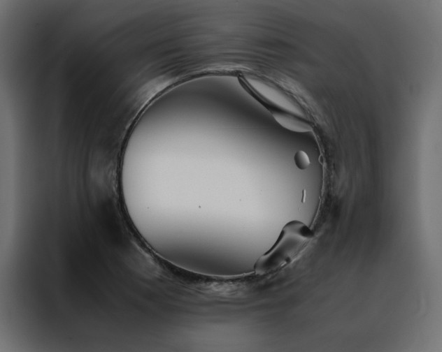 X0000088461177200705221336