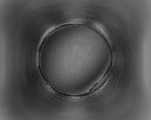 X0000088461180200705221336
