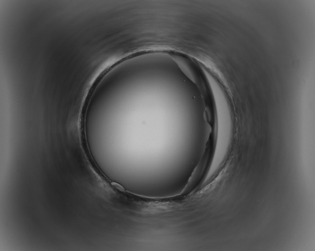 X0000088461181200705221336