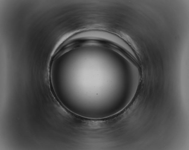 X0000088461184200705221336