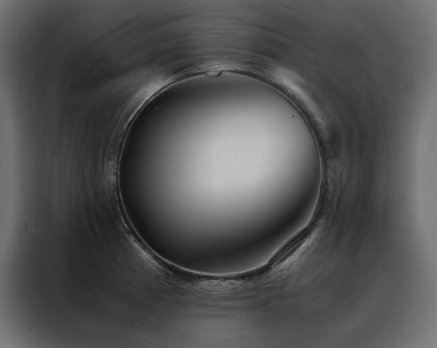 X0000088461185200705221336