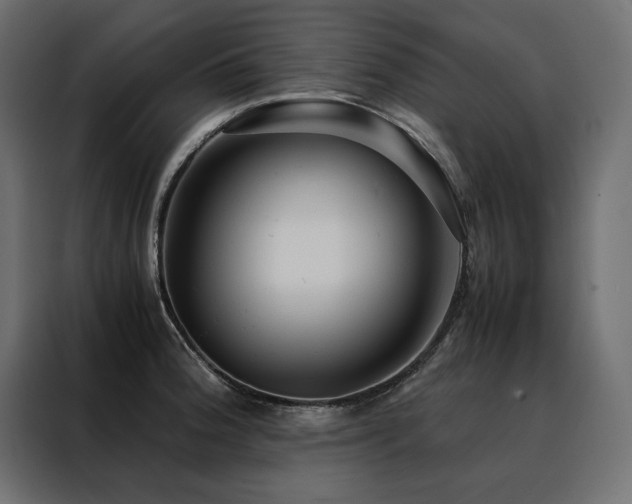 X0000088461188200705221336