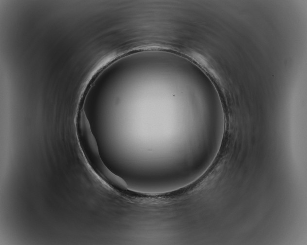 X0000088461189200705221336