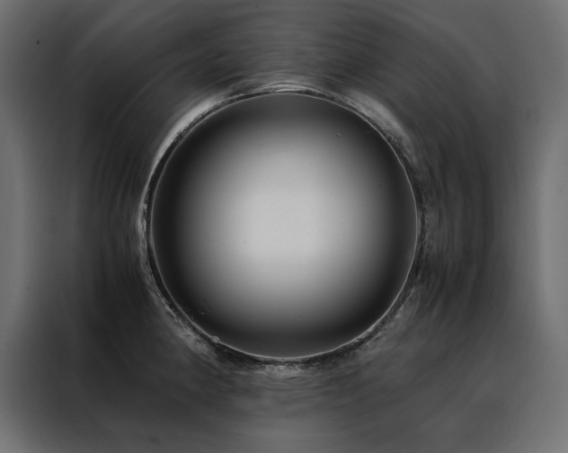 X0000088461190200705221336