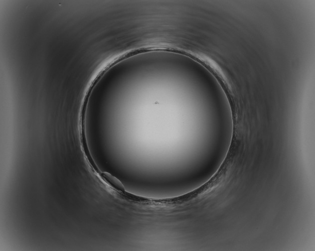 X0000088461191200705221336