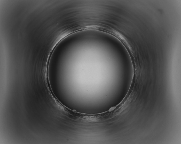 X0000088461194200705221336