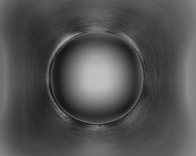 X0000088461195200705221336