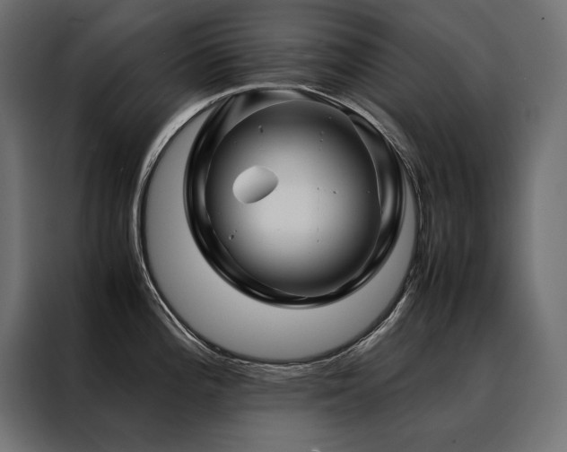 X0000088461196200705221336
