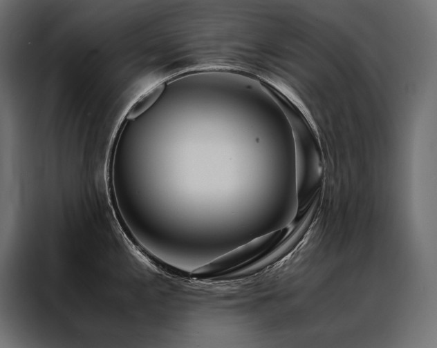 X0000088461197200705221336
