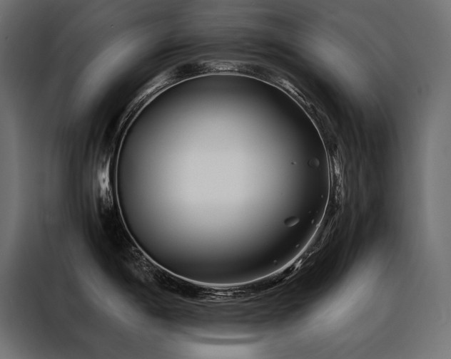 X0000088461198200705221336