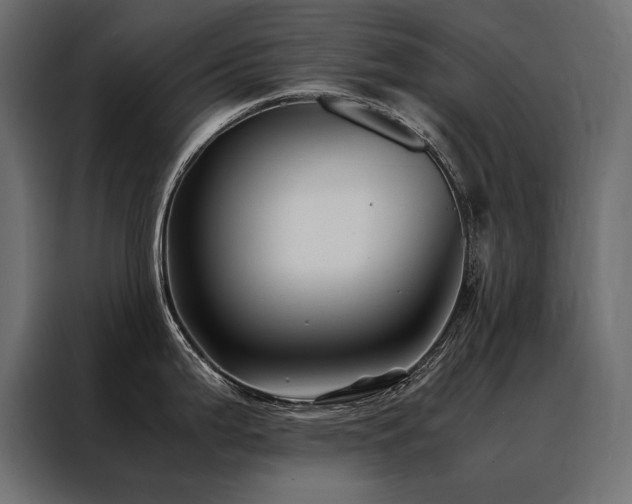 X0000088461199200705221336