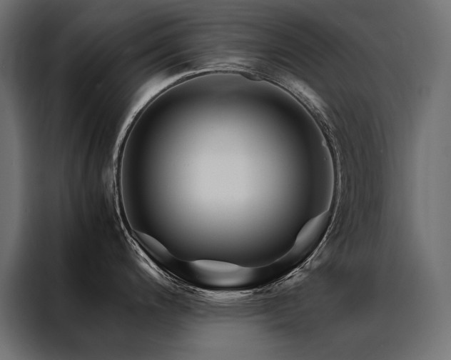 X0000088461200200705221336