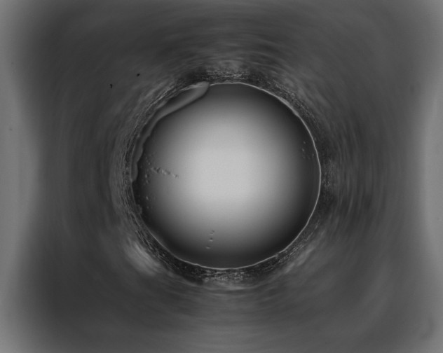 X0000088461201200705221335