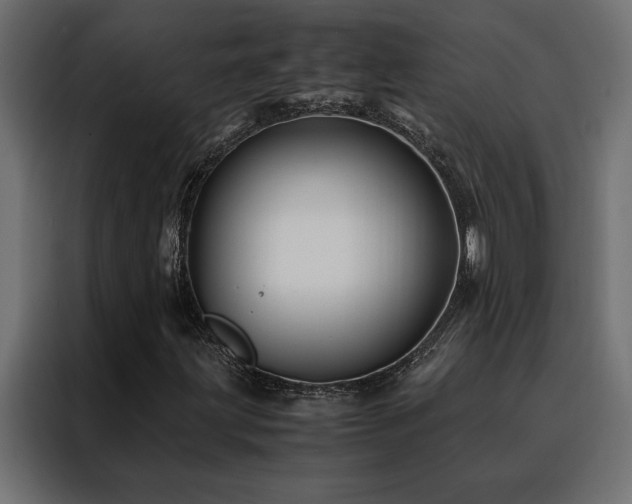 X0000088461203200705221335