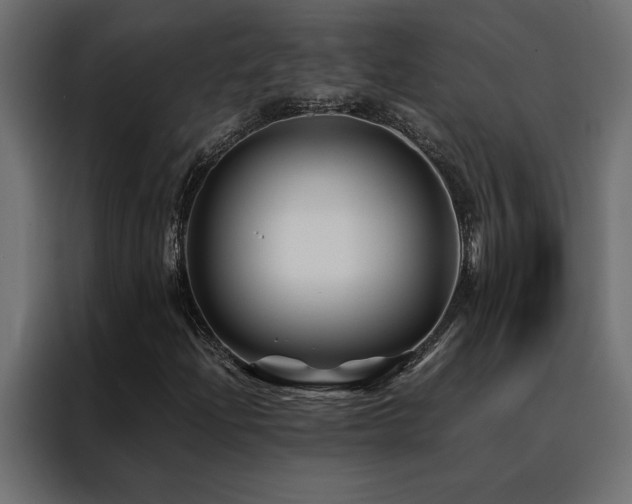 X0000088461204200705221335