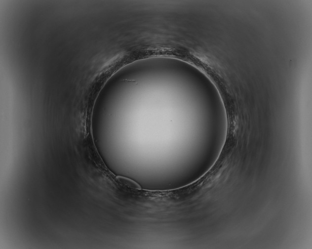 X0000088461205200705221335