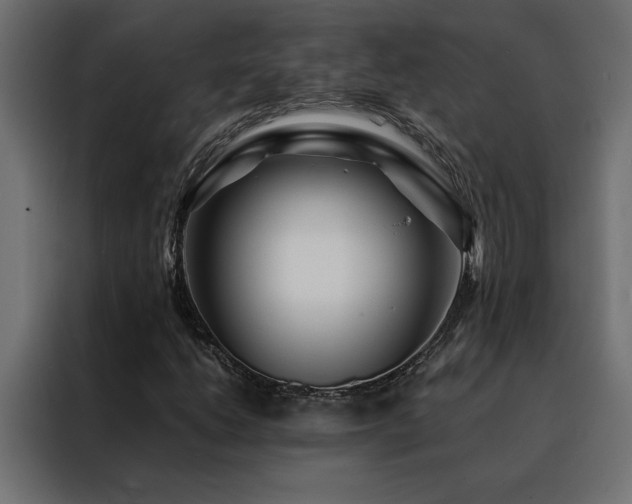 X0000088461206200705221336