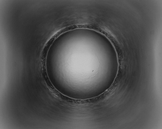 X0000088461208200705221336