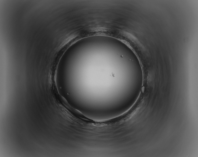 X0000088461209200705221336