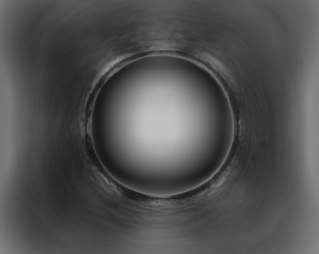 X0000088461212200705221336