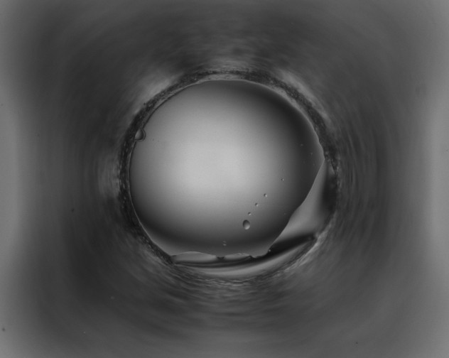 X0000088461213200705221336