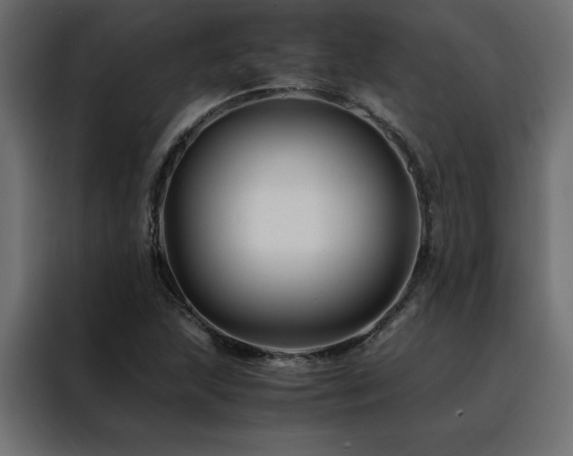 X0000088461215200705221336
